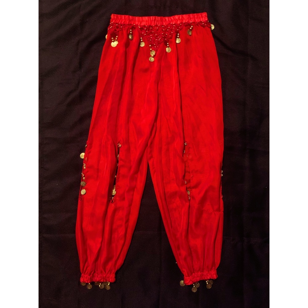 Custom Belly Dancer Costume Women’s Small - Picture 2 of 2